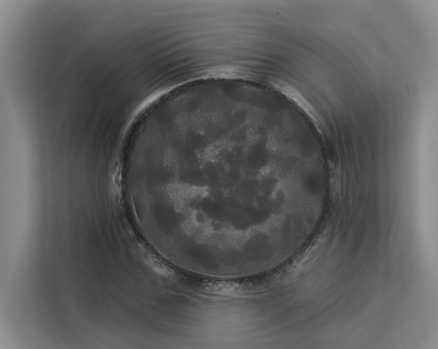 X0000113080971200908281220