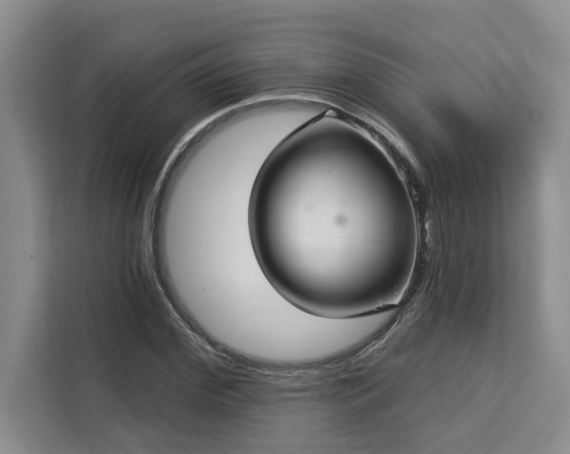 X0000113080972200908281220