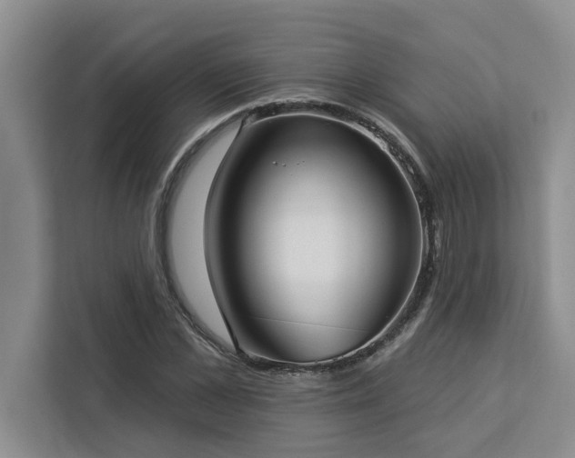 X0000113080973200908281220