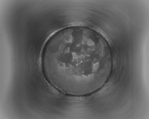 X0000113080975200908281220