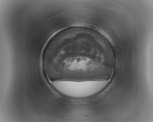 X0000113080976200908281220