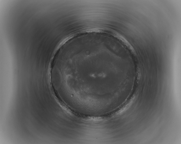 X0000113080978200908281220