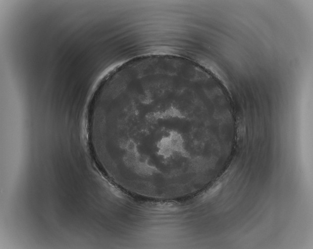 X0000113080979200908281220