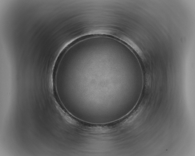 X0000113080980200908281220