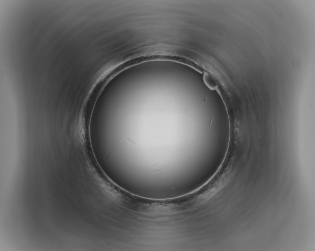 X0000113080981200908281220