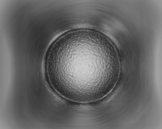 X0000113080983200908281220