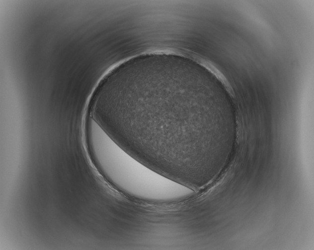 X0000113080984200908281220