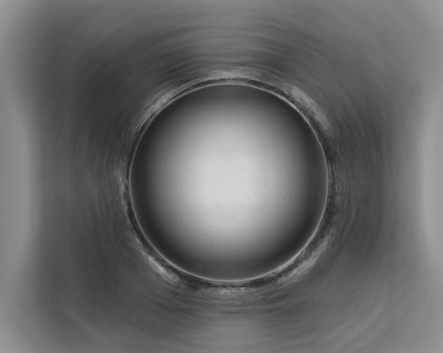 X0000113080985200908281219