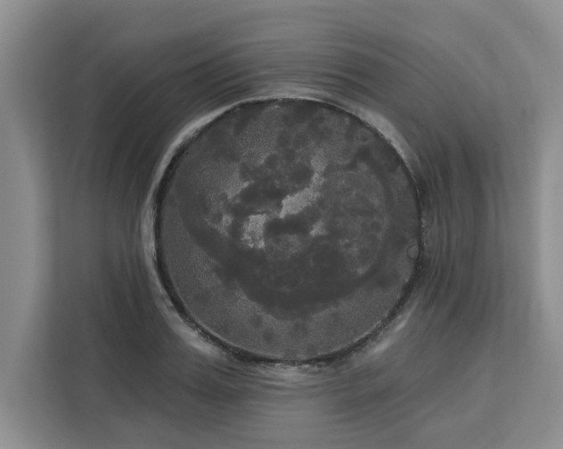 X0000113080987200908281219