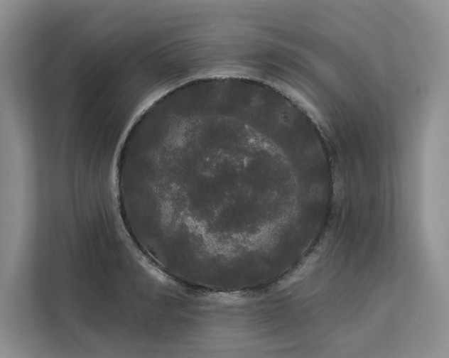 X0000113080990200908281219