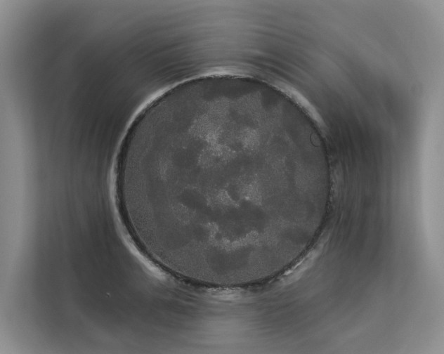 X0000113080991200908281219