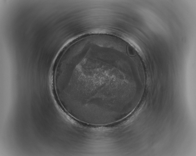 X0000113080992200908281219