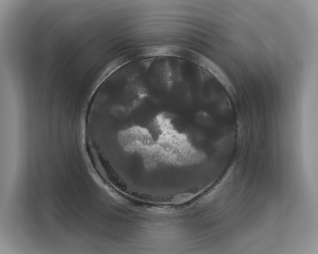 X0000113080994200908281219