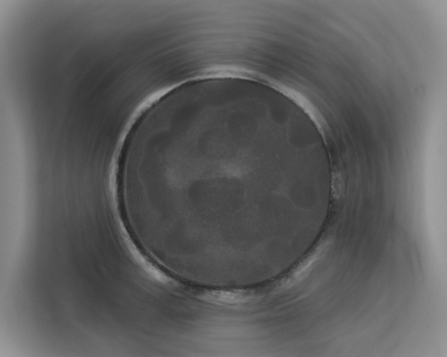 X0000113080995200908281219