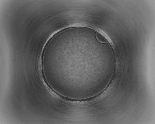 X0000113080996200908281219