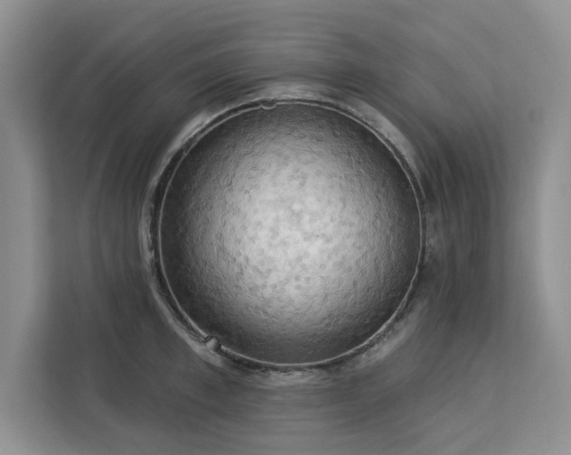 X0000113080997200908281219