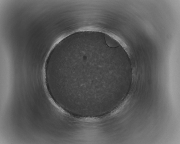 X0000113080998200908281219