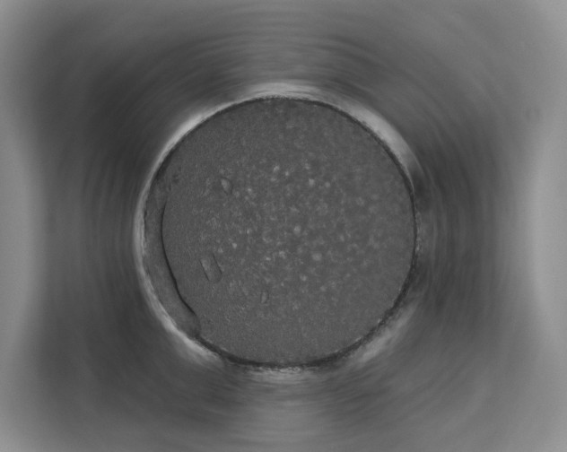 X0000113080999200908281219