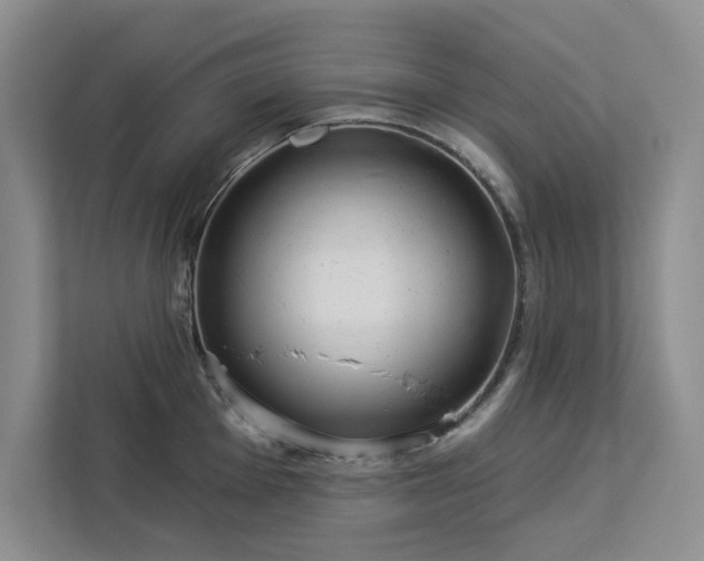 X0000113081001200908281219