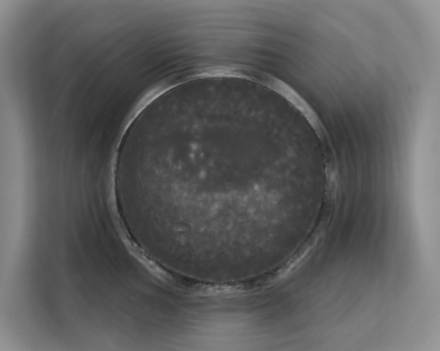 X0000113081002200908281219