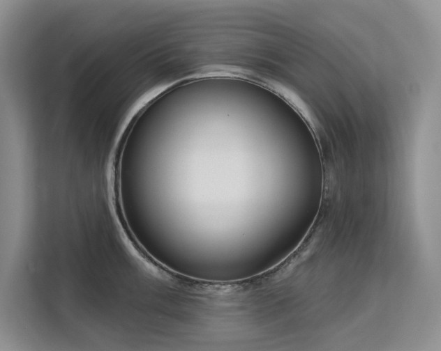 X0000113081003200908281219