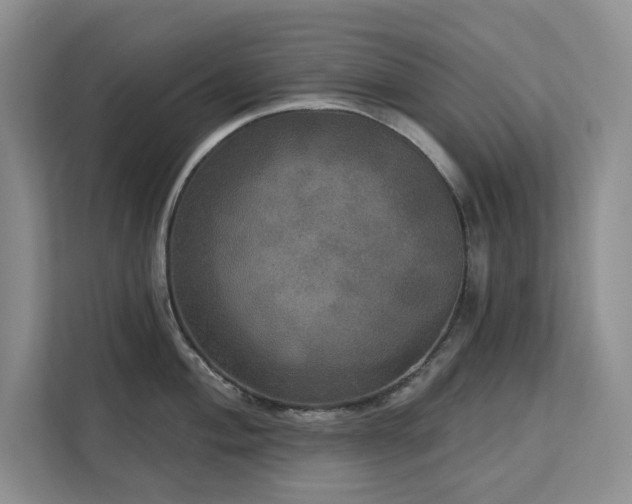 X0000113081004200908281219