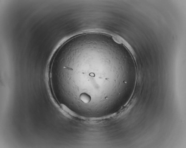 X0000113081005200908281219