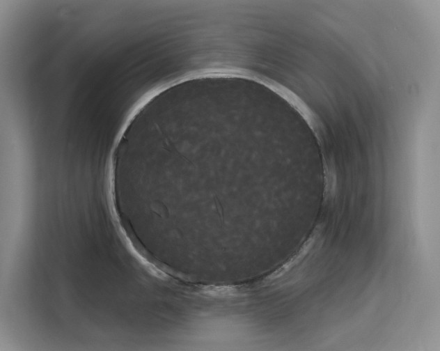 X0000113081006200908281219