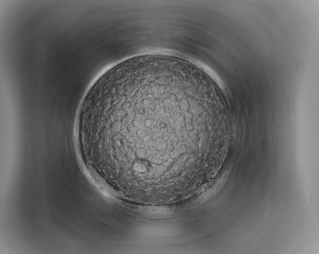 X0000113081007200908281219