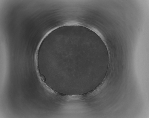 X0000113081008200908281219