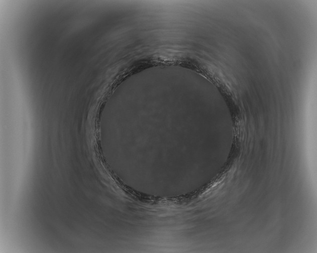 X0000113081009200908281219