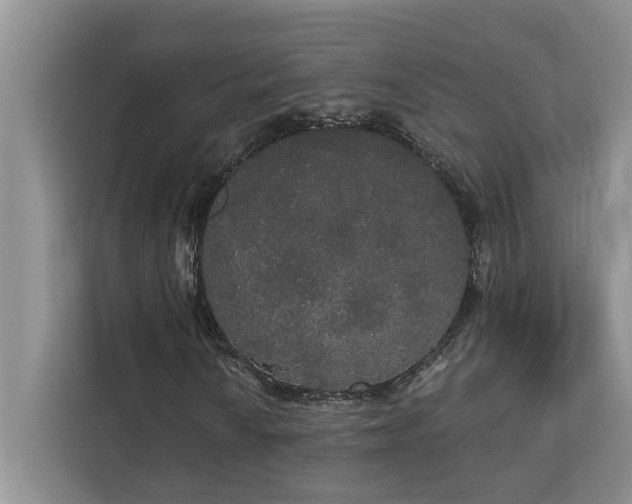 X0000113081010200908281219