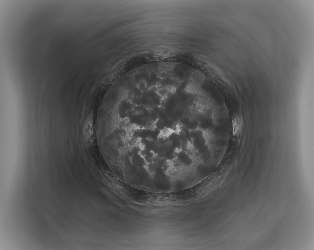 X0000113081011200908281219