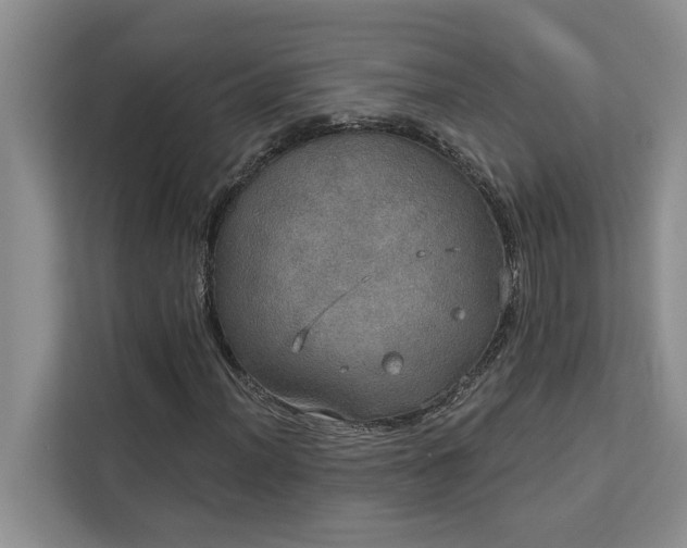 X0000113081012200908281219