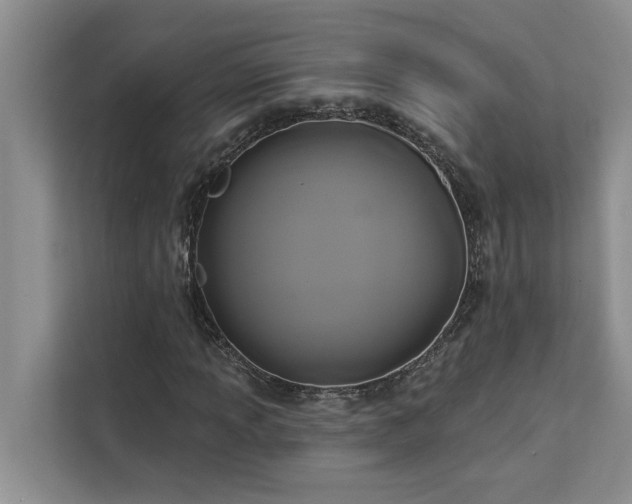 X0000113081013200908281219