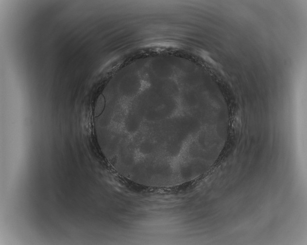 X0000113081014200908281219