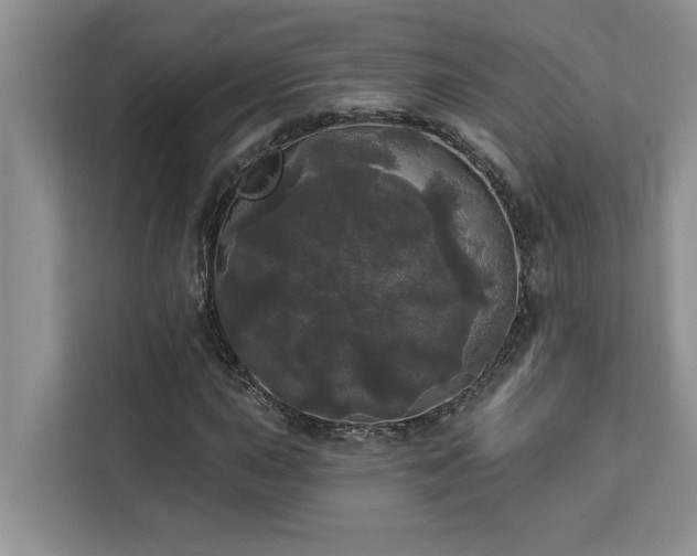 X0000113081015200908281219