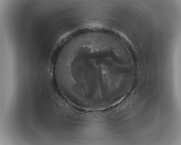 X0000113081016200908281219