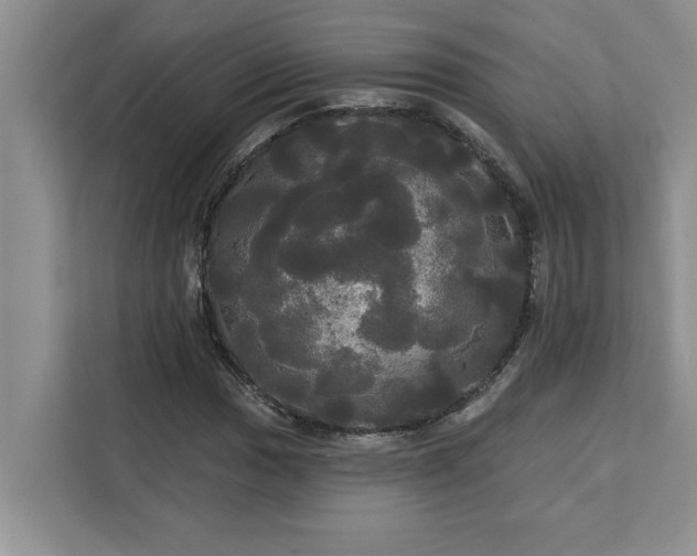 X0000113081017200908281219