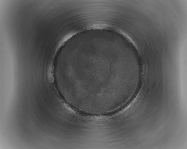 X0000113081018200908281219