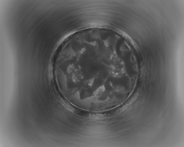 X0000113081019200908281219