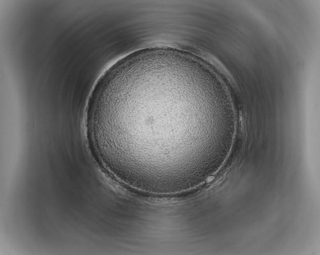 X0000113081020200908281219