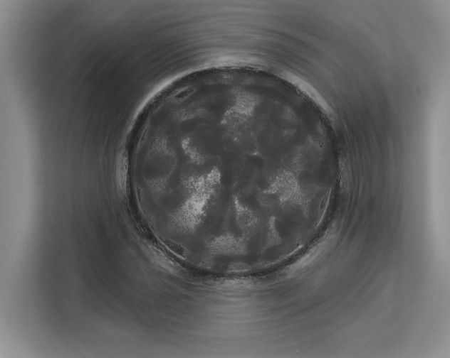 X0000113081021200908281219