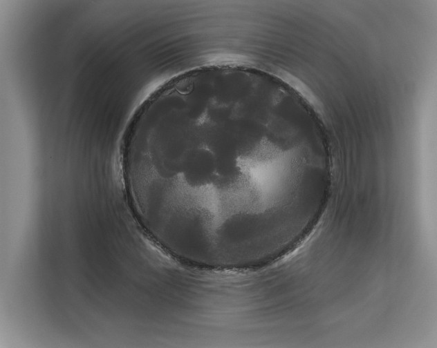 X0000113081022200908281219