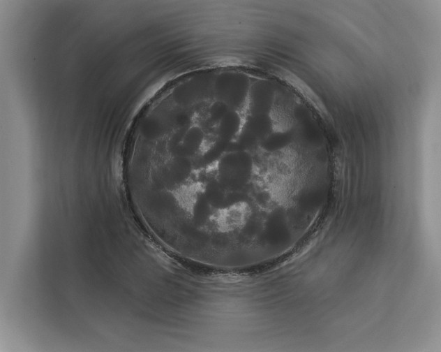 X0000113081023200908281219