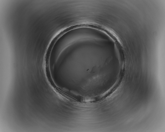 X0000113081024200908281219