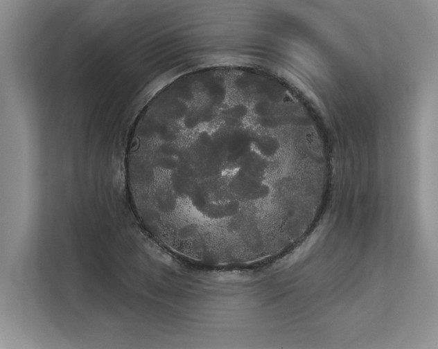 X0000113081025200908281219