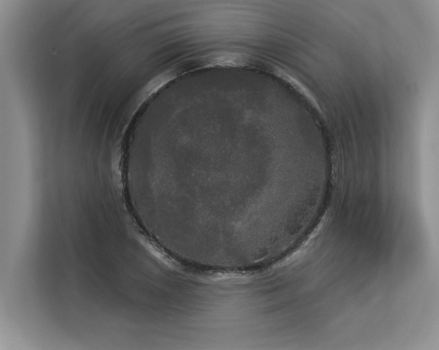 X0000113081026200908281219