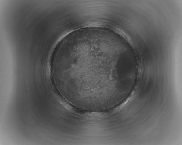 X0000113081027200908281219