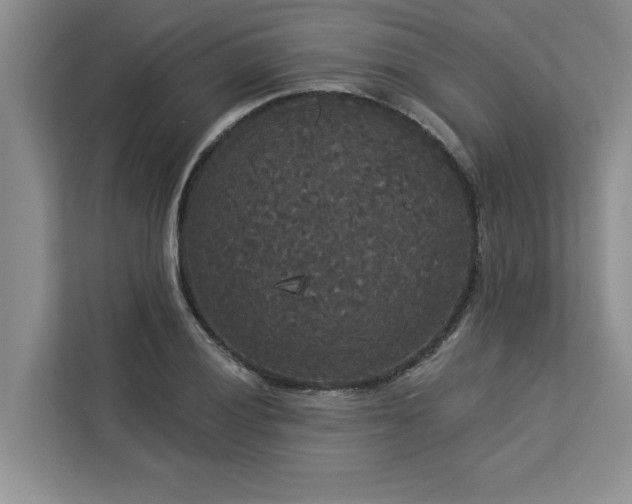 X0000113081028200908281219